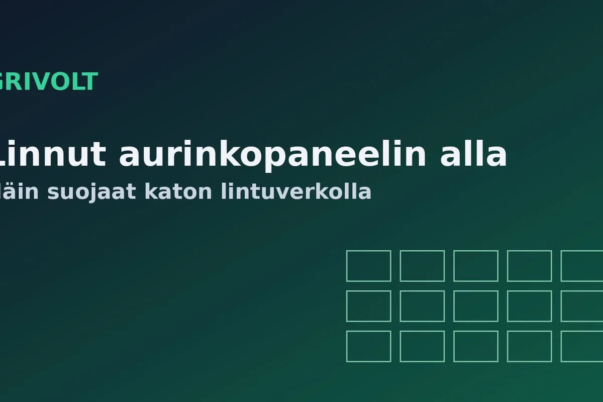 Linnut pesivät aurinkopaneelin alla 2026 – näin suojaat katon